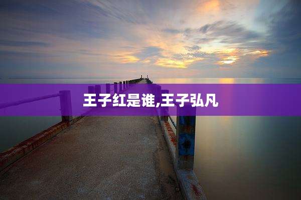 王子红是谁,王子弘凡