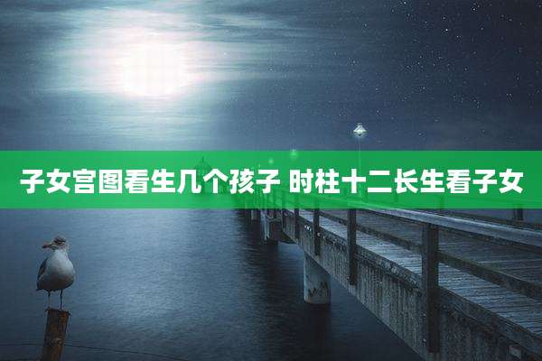 子女宫图看生几个孩子 时柱十二长生看子女