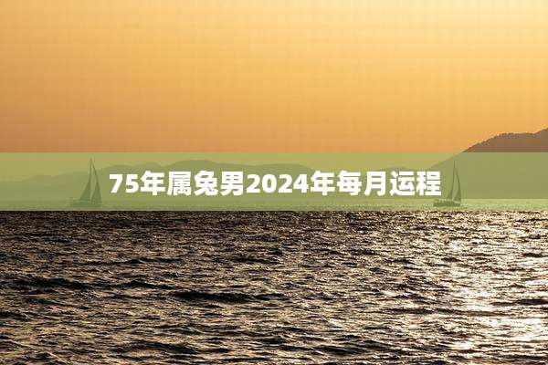 75年属兔男2024年每月运程