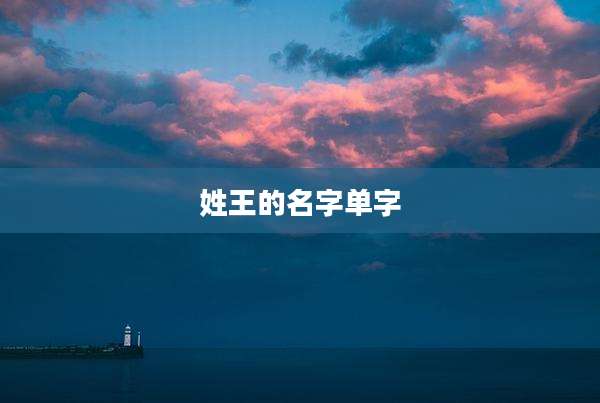 姓王的名字单字
