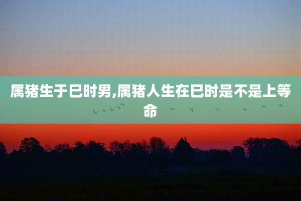 属猪生于巳时男,属猪人生在巳时是不是上等命