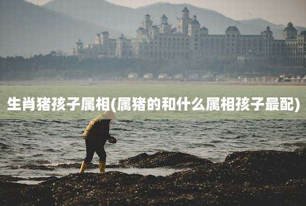 生肖猪孩子属相(属猪的和什么属相孩子最配)