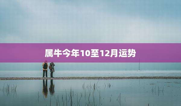 属牛今年10至12月运势