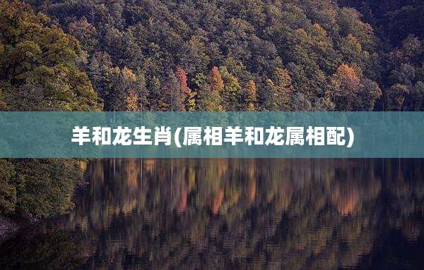 羊和龙生肖(属相羊和龙属相配)
