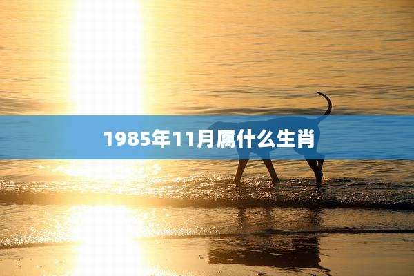 1985年11月属什么生肖