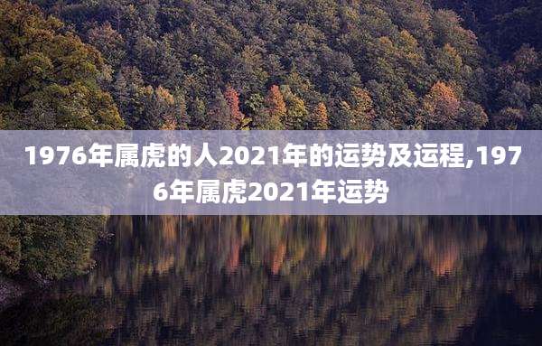 1976年属虎的人2021年的运势及运程,1976年属虎2021年运势