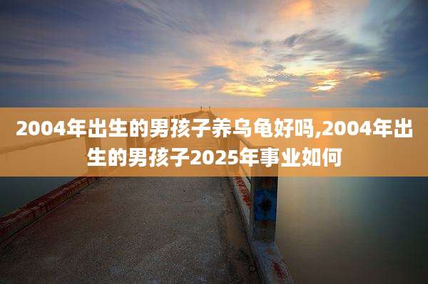 2004年出生的男孩子养乌龟好吗,2004年出生的男孩子2025年事业如何