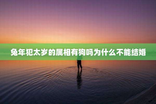 兔年犯太岁的属相有狗吗为什么不能结婚