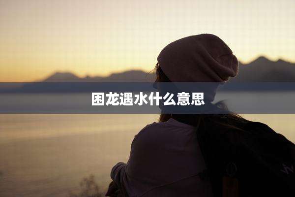 困龙遇水什么意思