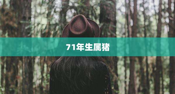 71年生属猪