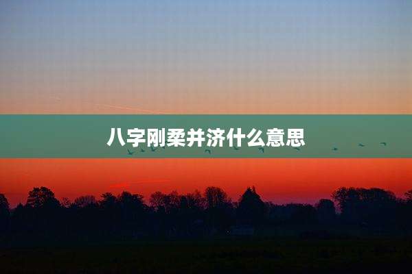 八字刚柔并济什么意思