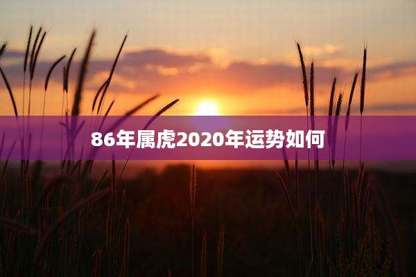 86年属虎2020年运势如何