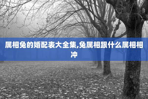 属相兔的婚配表大全集,兔属相跟什么属相相冲