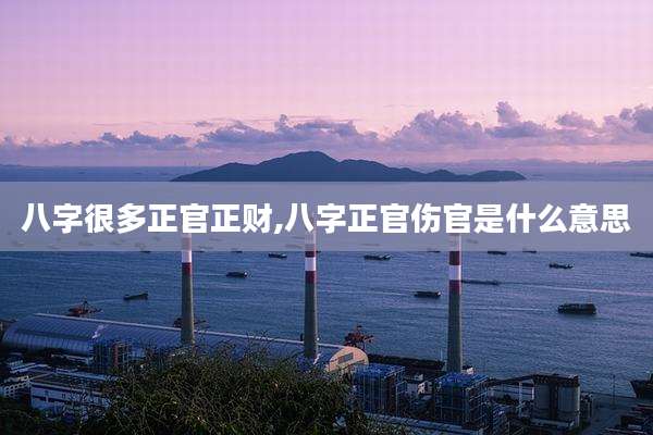 八字很多正官正财,八字正官伤官是什么意思