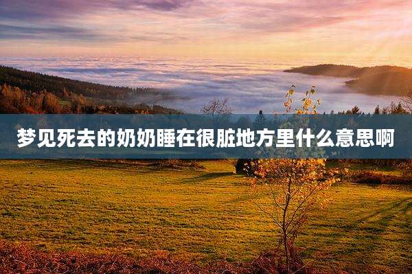 梦见死去的奶奶睡在很脏地方里什么意思啊