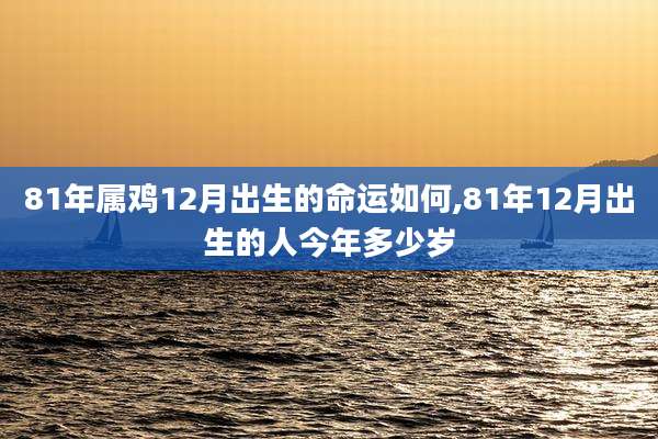 81年属鸡12月出生的命运如何,81年12月出生的人今年多少岁