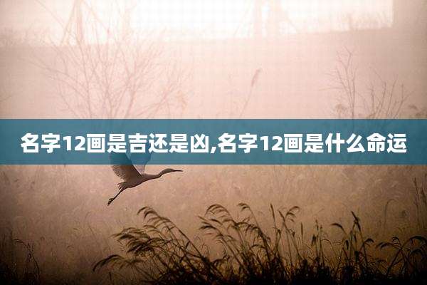 名字12画是吉还是凶,名字12画是什么命运