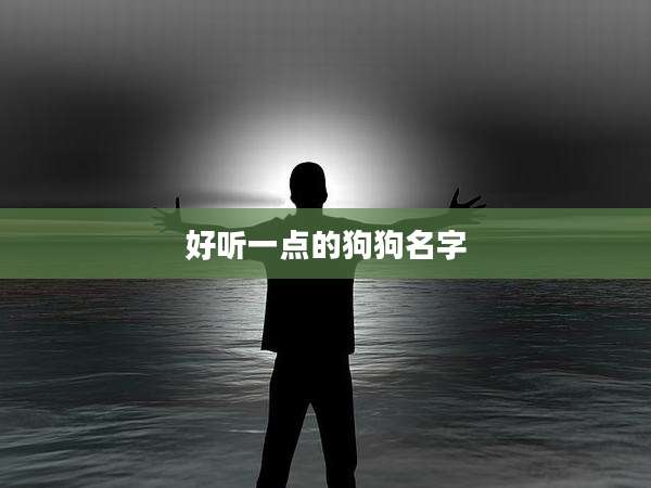 好听一点的狗狗名字
