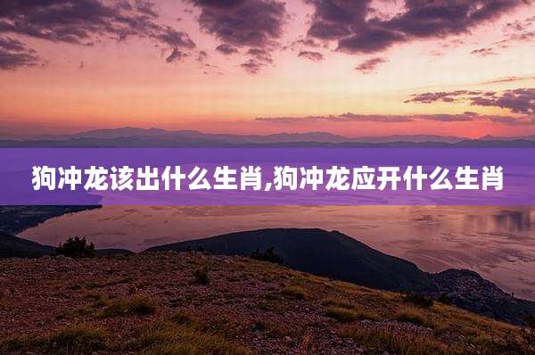 狗冲龙该出什么生肖,狗冲龙应开什么生肖