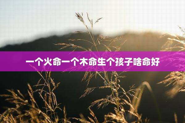 一个火命一个木命生个孩子啥命好