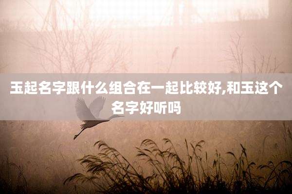 玉起名字跟什么组合在一起比较好,和玉这个名字好听吗