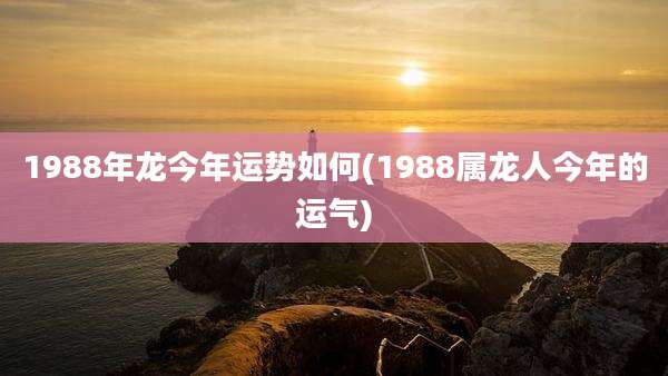 1988年龙今年运势如何(1988属龙人今年的运气)