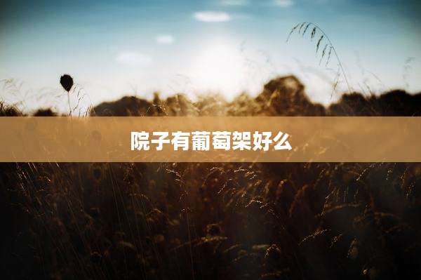 院子有葡萄架好么