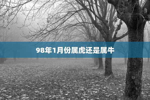 98年1月份属虎还是属牛