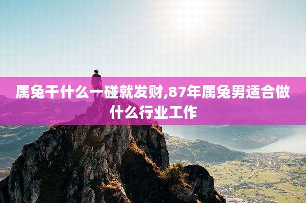 属兔干什么一碰就发财,87年属兔男适合做什么行业工作