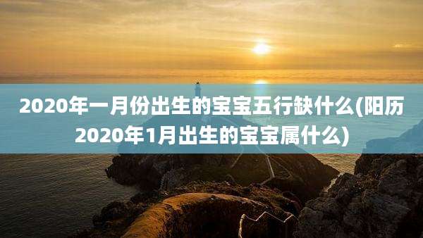 2020年一月份出生的宝宝五行缺什么(阳历2020年1月出生的宝宝属什么)
