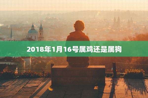 2018年1月16号属鸡还是属狗