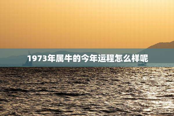 1973年属牛的今年运程怎么样呢