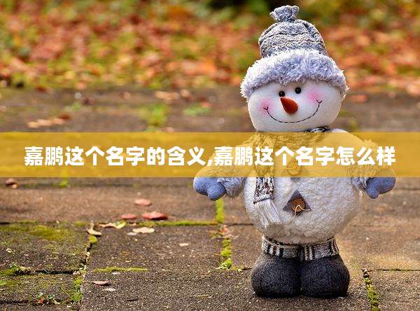 嘉鹏这个名字的含义,嘉鹏这个名字怎么样