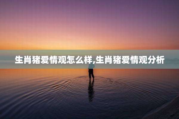 生肖猪爱情观怎么样,生肖猪爱情观分析