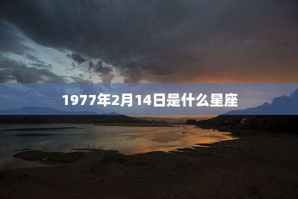1977年2月14日是什么星座