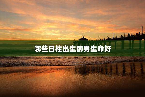 哪些日柱出生的男生命好