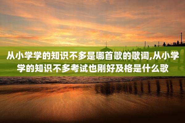 从小学学的知识不多是哪首歌的歌词,从小学学的知识不多考试也刚好及格是什么歌