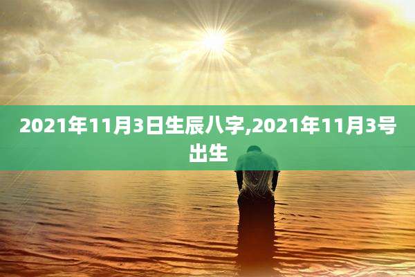 2021年11月3日生辰八字,2021年11月3号出生