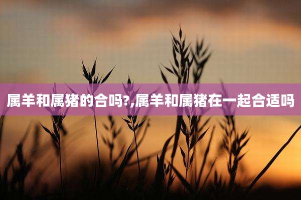 属羊和属猪的合吗?,属羊和属猪在一起合适吗