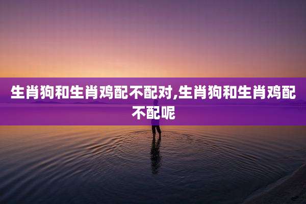 生肖狗和生肖鸡配不配对,生肖狗和生肖鸡配不配呢