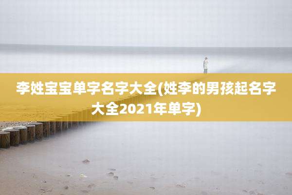 李姓宝宝单字名字大全(姓李的男孩起名字大全2021年单字)
