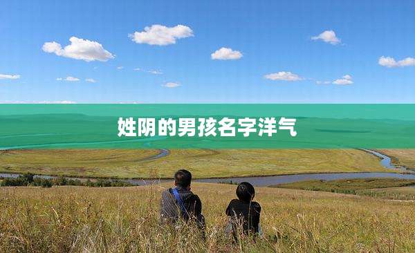 姓阴的男孩名字洋气