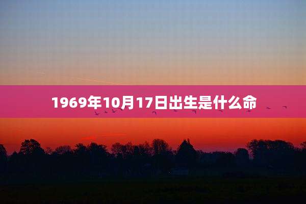 1969年10月17日出生是什么命