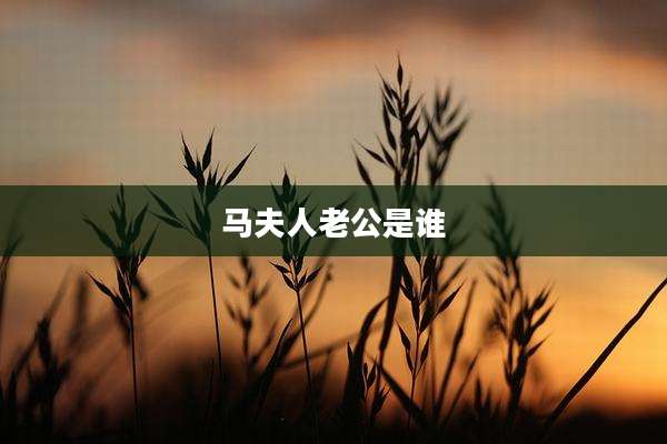 马夫人老公是谁