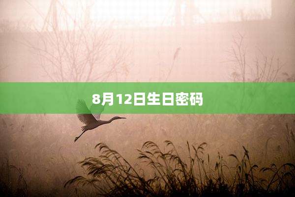 8月12日生日密码