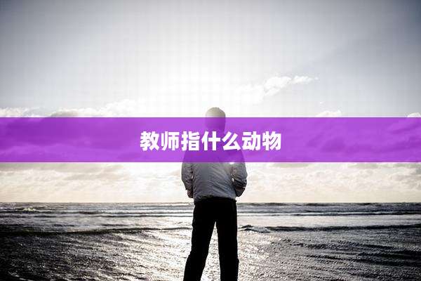 教师指什么动物
