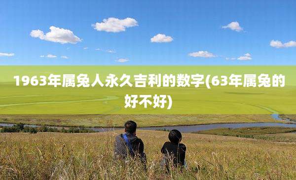 1963年属兔人永久吉利的数字(63年属兔的好不好)