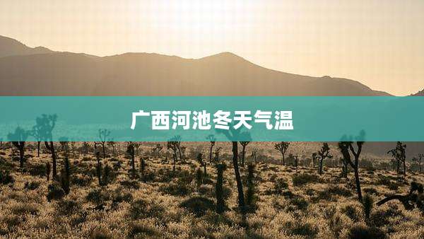 广西河池冬天气温