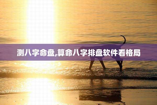 测八字命盘,算命八字排盘软件看格局