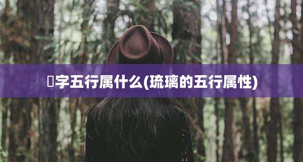 瑠字五行属什么(琉璃的五行属性)